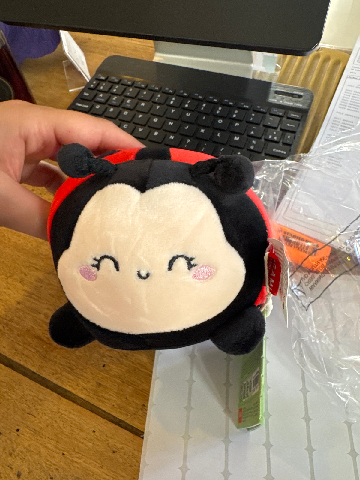 Mini peluche coccinelle