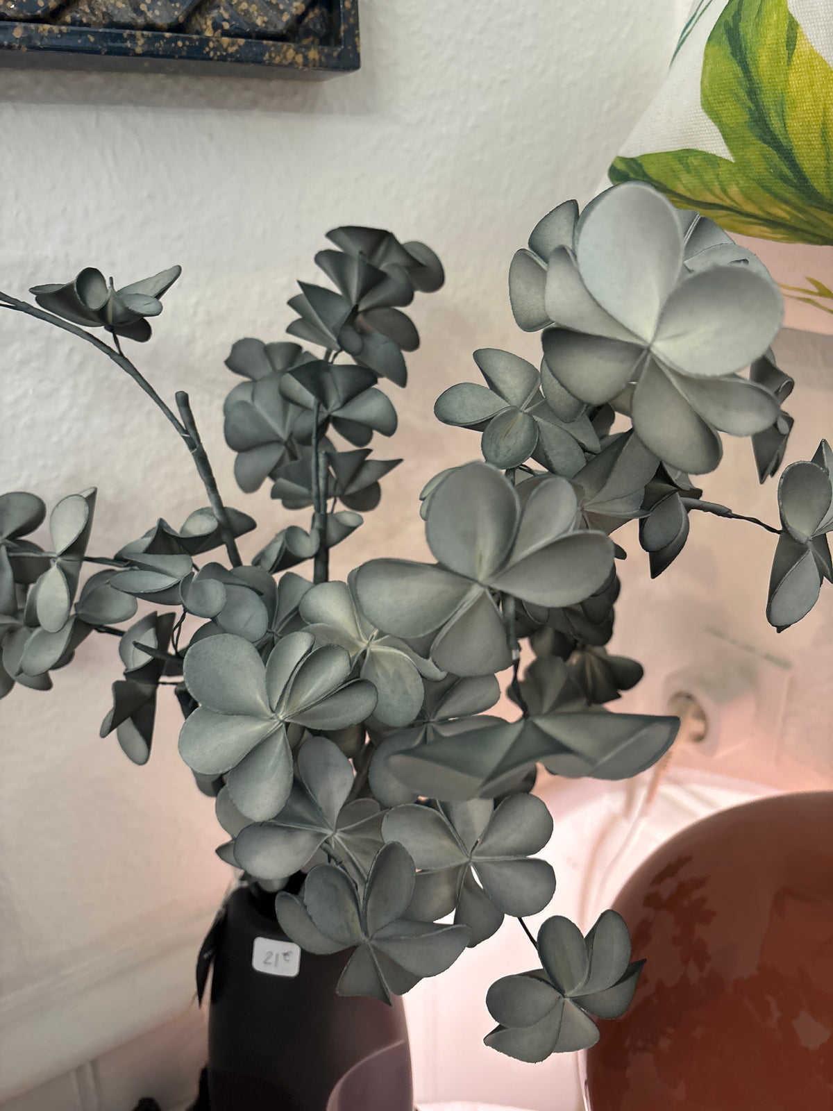 Tige vert eucalyptus