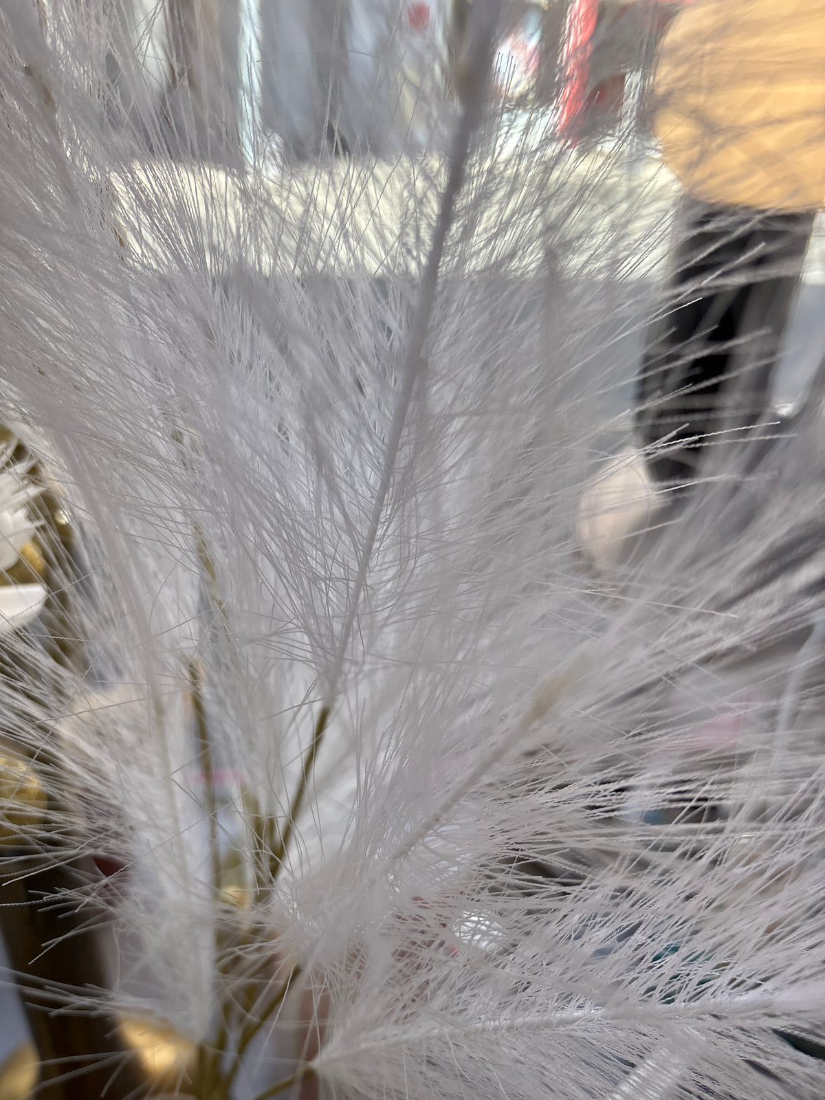 Tige fleur celosia blanc