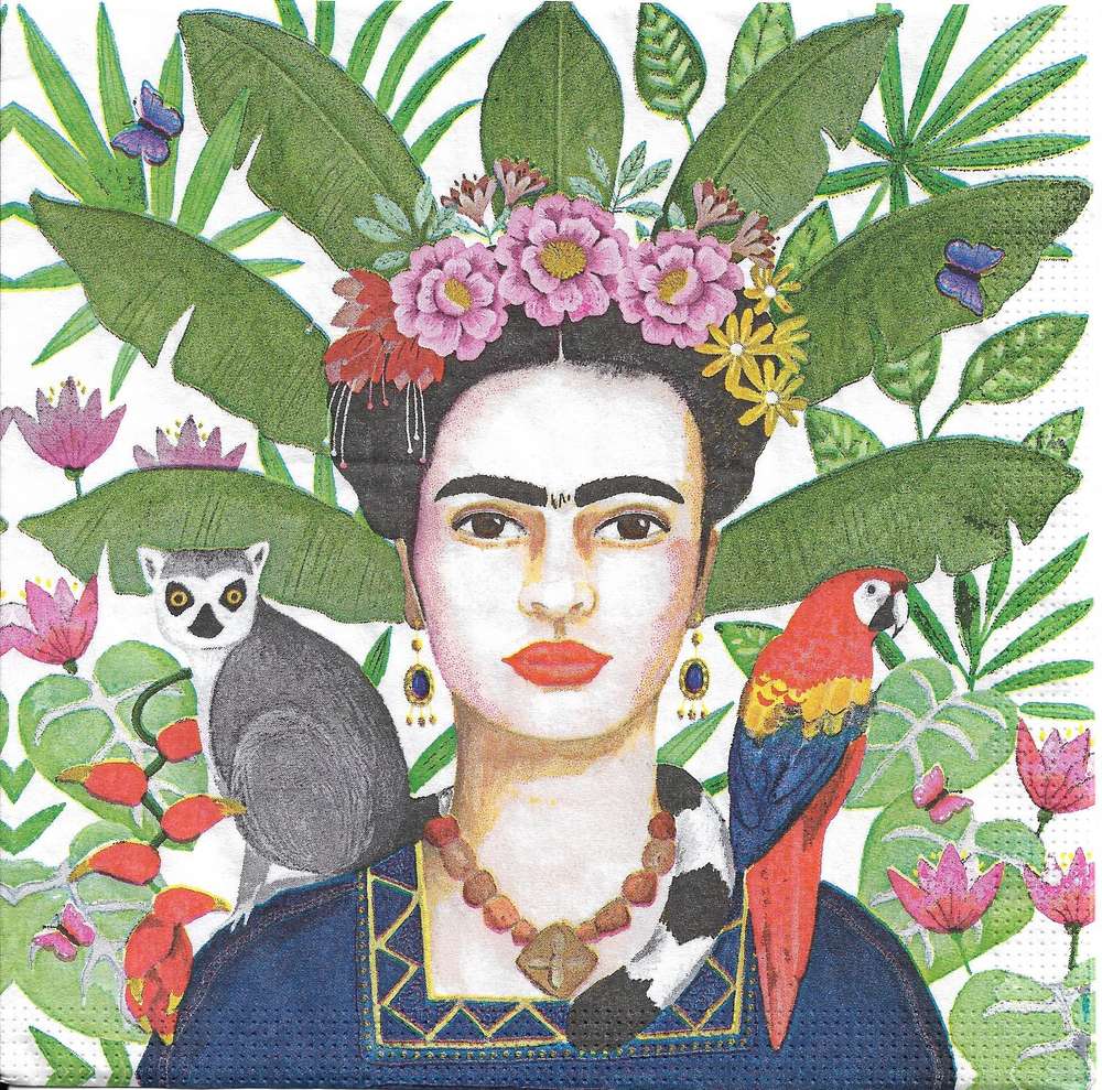 Gros plan sur le motif Village de Coyoacán Frida Kahlo et les couleurs des serviettes en papier PPD.
