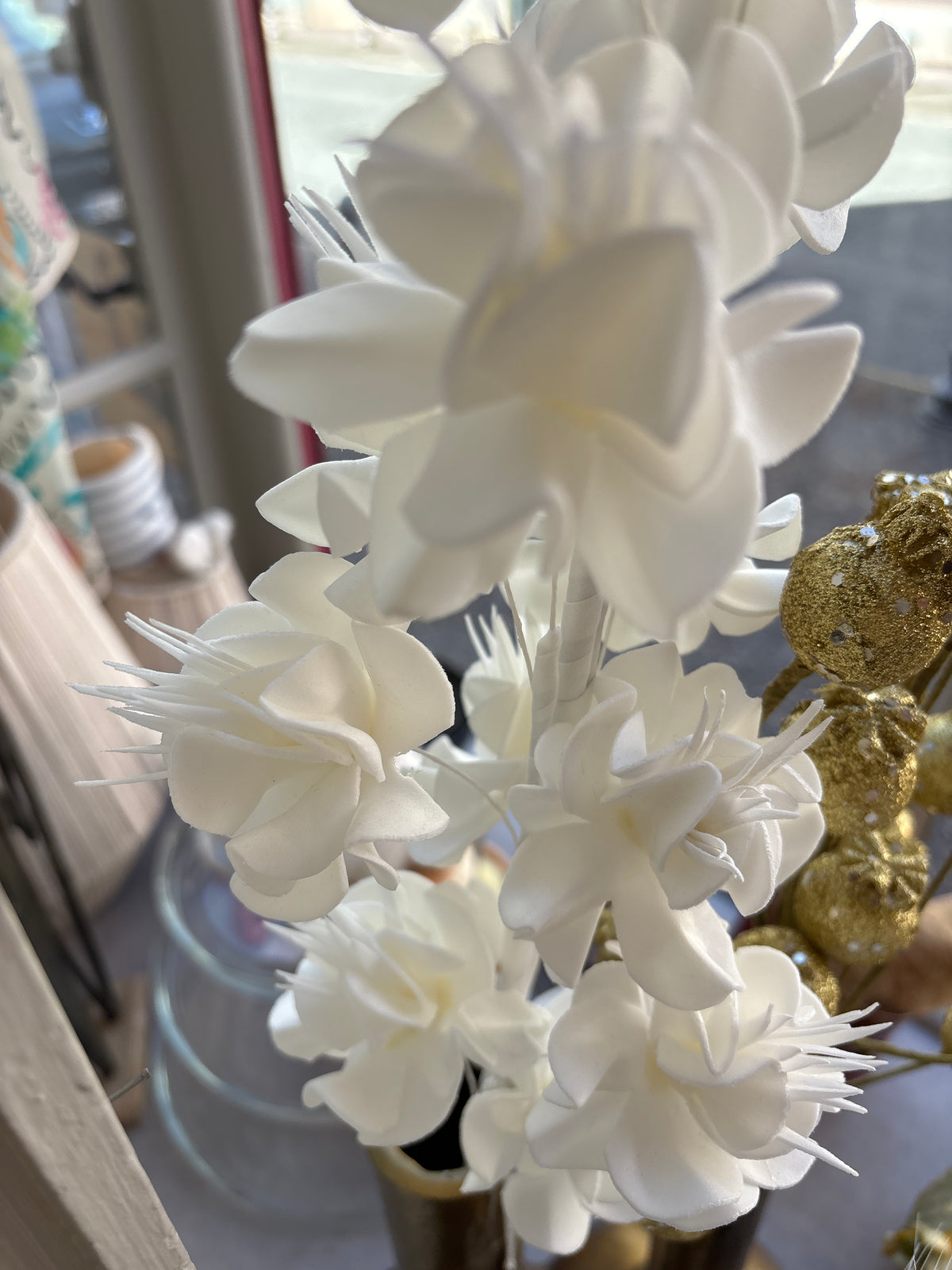 Fleurs blanches