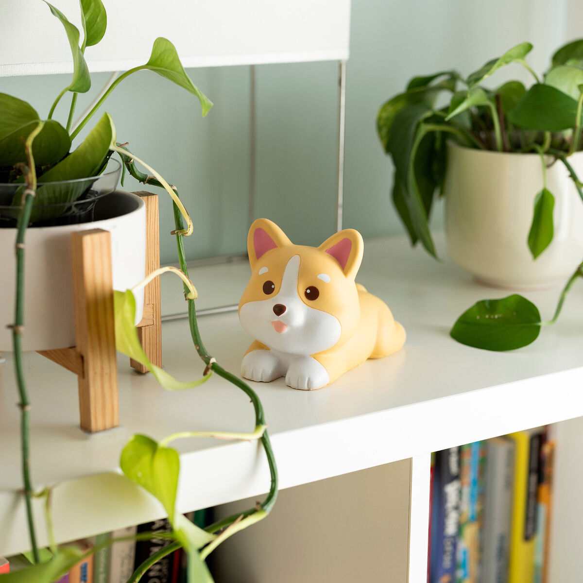 Anti-stress chien corgi kawaii Legami vue de face 9,5cm – jouet sensoriel adulte enfant nouveauté