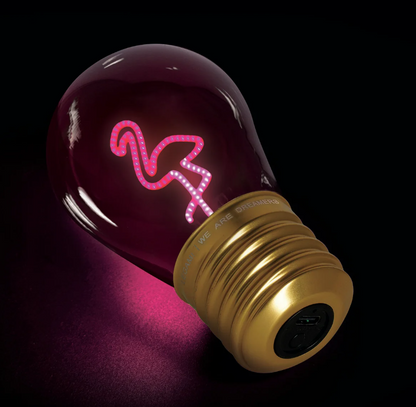 Ampoule nomade LED
