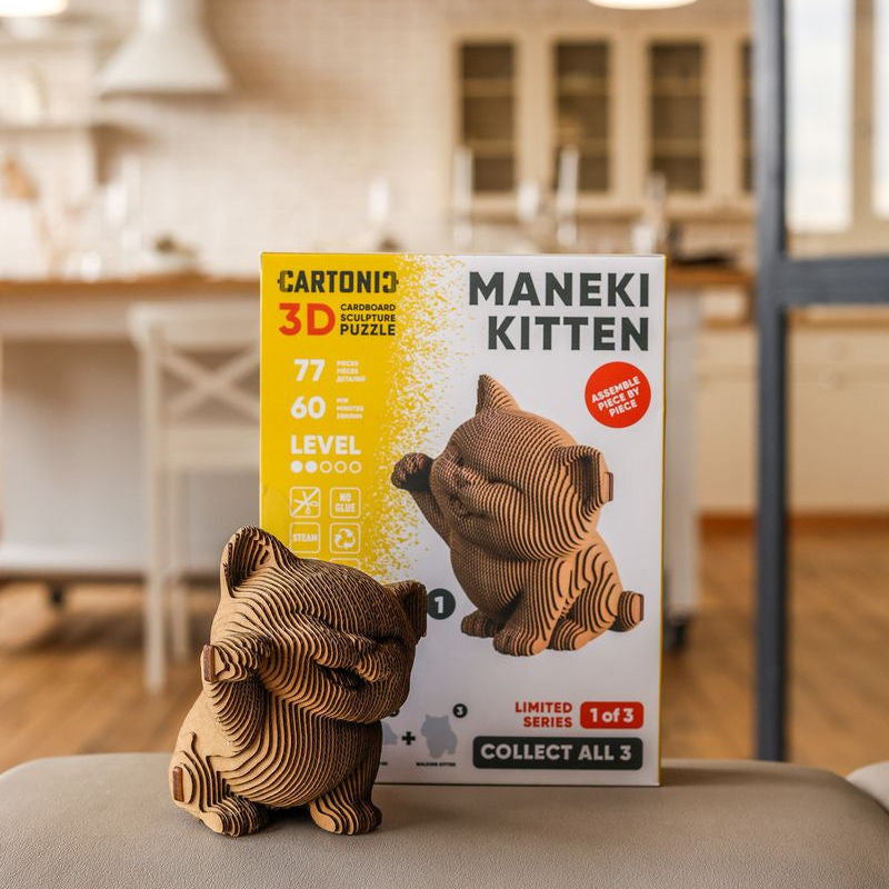 Puzzle 3D, Cartonic, DIY, Loisirs Créatifs