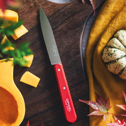 couteau lame lisse 112 opinel rouge