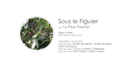 Diffuseur de Parfum Diamante 100 ml